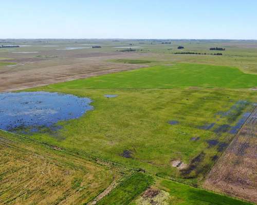 163 Has en Chascomús, Buenos Aires - Mixto - Venta