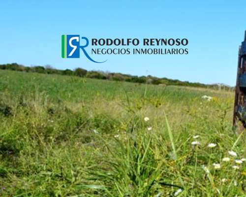 Campo Agrícola en Villa Elisa, Entre Ríos