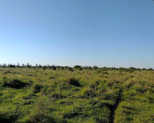 62ha Mixto - Felicia, Santa FE