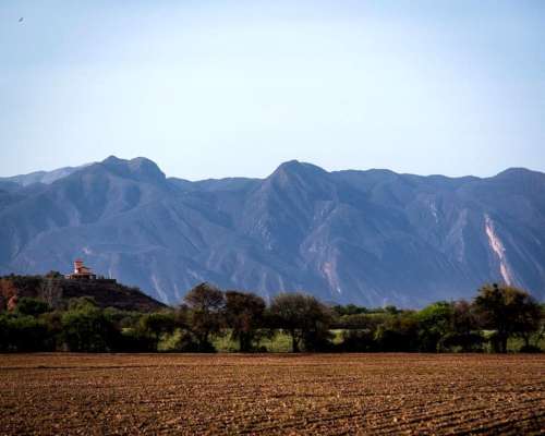 Coronel Moldes, la Viña, Salta - 24.137 Ha