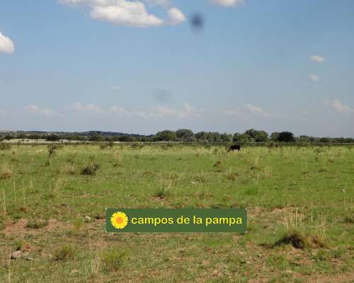 La Pampa - Venta Estancia 10.200 Ha Caldenal y Cultivo