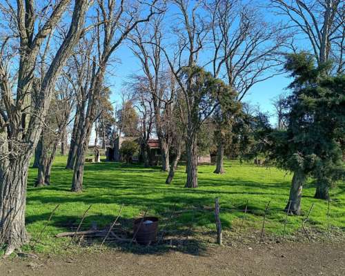608 HA, Mixto, Azul