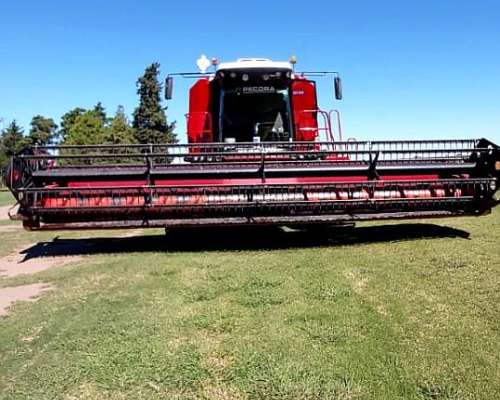 Vassalli 7500 Lider Impecable