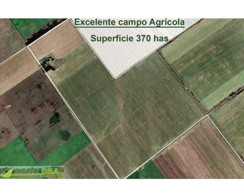 Vendo Campo Agrícola 370 Has Lobería