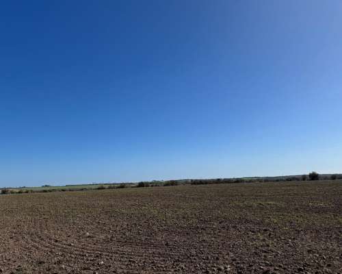 10 Has - Zona Acceso Norte - Paraná - Colonia Avellaneda