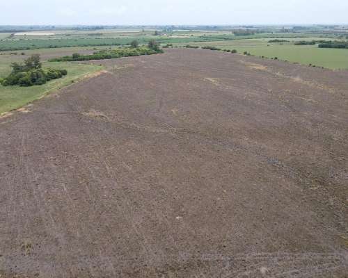 115 Hectáreas Agrícolas Sobre Ruta, Caseros Entre Ríos.