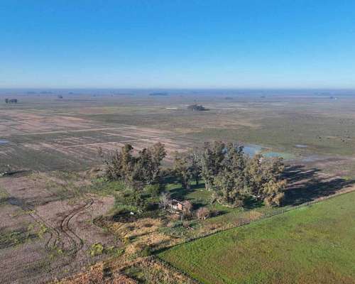 Pcia. de Buenos Aires - Carmen de Areco 66 Has