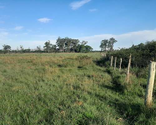 Chacra en Guaviravi Provincia de Corrientes