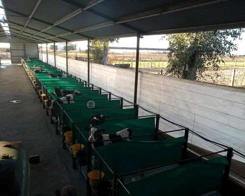 Guacheras Comunitarias, Estructura Metalica