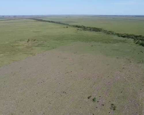 Venta 424 Has Ganaderas en San Genaro. Sobre Ruta Nº65.