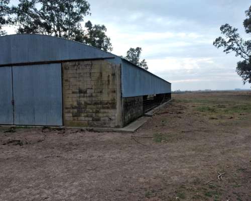 Galpon de 12 Metros de Ancho por 35 Metros de Largo