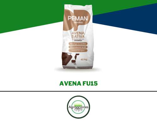 Semilla de Avena FU15 - Fiscalizada