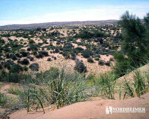 Villa Santa Rosa, 25 de Mayo, San Juan - 6.980 Ha
