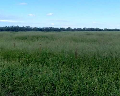 Vendo Campo Agrícolo Ganadero