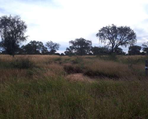 5200, Has Ganaderas en Producción