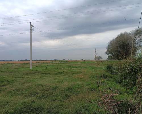Venta de Campo Agricola