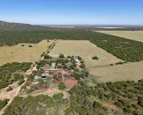 Juan Martin de Pueyrredón, San Luis - 2.350 Ha