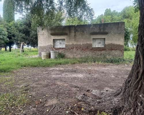 25 Hectáreas en Pedro Luro