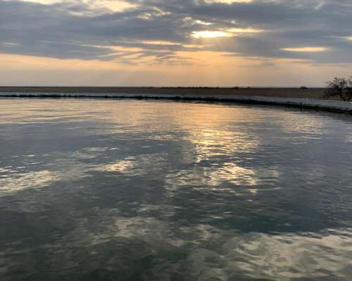 Campo 997 Has. Limpias - Inst. Feedlot - Alfalfa - Riego