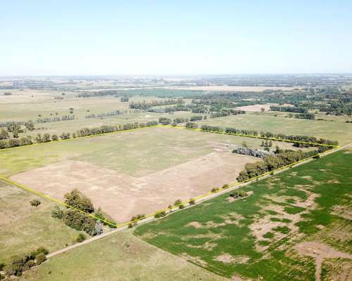 44 Has. Campo Agrícolo Ganadero en General Rodriguez
