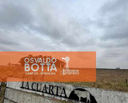 Campo Agrícola Ganadero en Venta, Bolivar, Buenos Aires