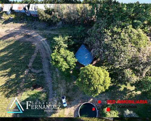 27 Has, con Mejoras y Forestación