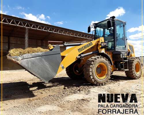 Pala Cargadora M45hd Michigan Nuevo Modelo