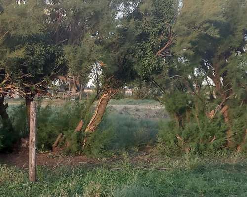 Vendo Fraccion de Campo Cercano a Ruta