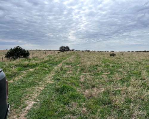 830 Hectáreas San German, Pdo. de Puan