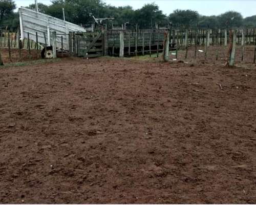 Vende10.000 Ha Zona el Bagual, SUR de San Luis