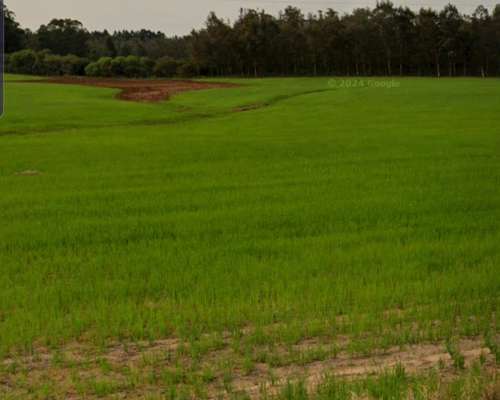 Remato Campo en Santiago