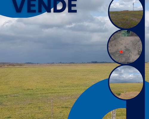 73 Has Agricolas Alem