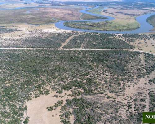 Gualeguay, Entre Ríos - 3737ha