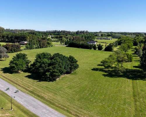 Terreno en la Macarena, Capilla del Señor