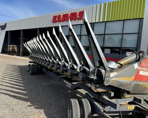 Mainero 16 a 52cm D-100