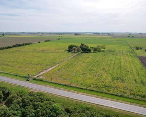 Campo en Cuatro Esquinas 100% Agrícola