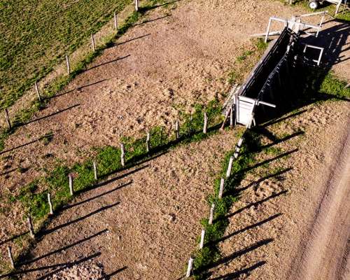 Arocena 230 Has Ganaderas. Instalaciones. Campo en Venta