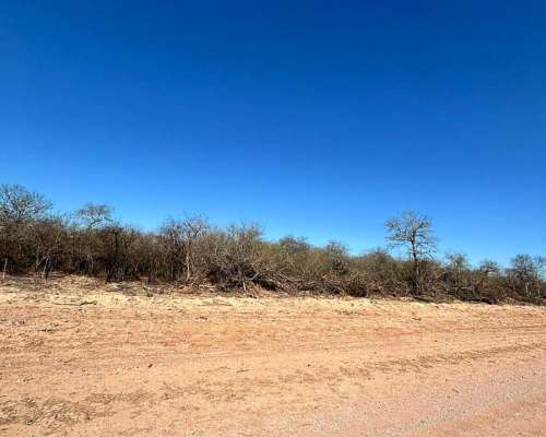 Vendo Campo de 1000 Has en Dpto Jimenez - SGO del Estero