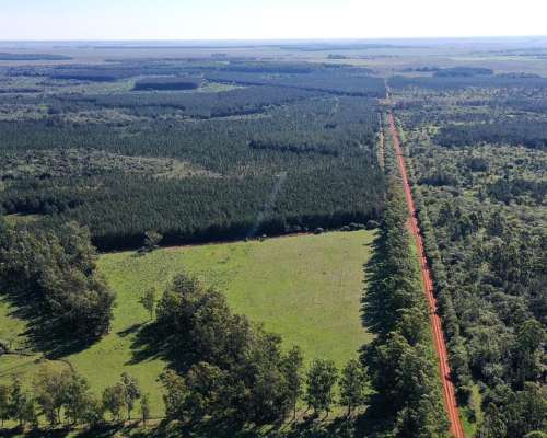 Campo Ganadero de 750 Ha Virasoro, Ctes. Alambrado, Corrales