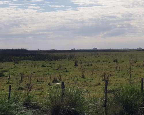 Exelente Campo Ganadero en Germania