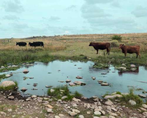 350 Ha Costa de Arroyo Sierra de la Ventana