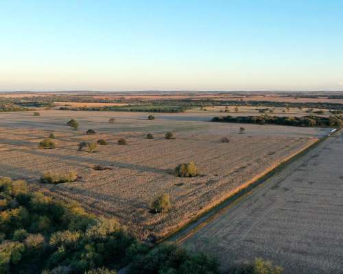 Ascochinga, Totoral, Córdoba - 133 Ha