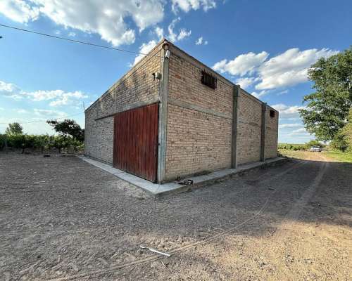 Finca Productiva con Pozo 29 Ha -san Martin - Mendoza