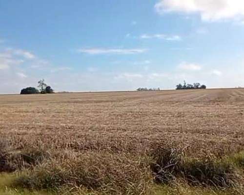 Campo en Venta. SUR de Santa FE. Zona Núcleo
