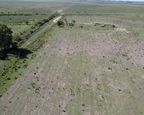 Venta 424 Has Ganaderas en San Genaro. Sobre Ruta Nº65.