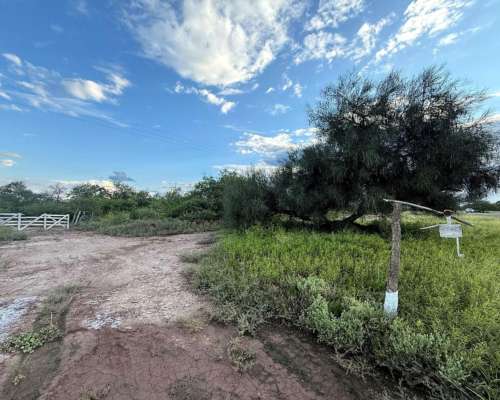 Remax Vende Campo Ganadero Sobre Ruta 34 Mailin