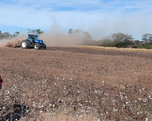 Alquiler Campo Agricola Zona Pinto, Santiago del Estero