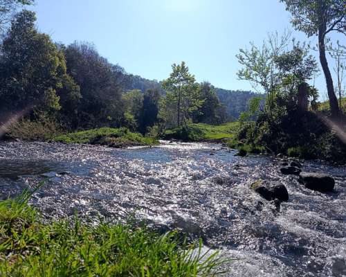 Oferta Chacra con Monte Nativo
