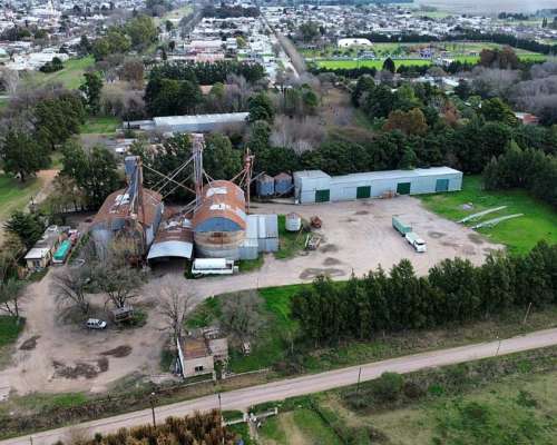 Planta de Acopio y Procesamiento de Legumbres Arequito