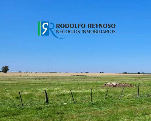 Campo Agrícola en Villa Elisa, Entre Ríos